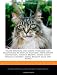 Feline Stretch and Meow: Pedigree Cats Recognized by the Cat Fanciers' Association (Abyssinian, Havana Brown, Maine Coon, Persian, Javanese, Manx, Russian Blue and More)