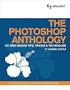The Photoshop Anthology: 101 Web Design Tips, Tricks & Techniques