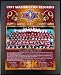 1991 Washington Redskins Super Bowl Champions Healy Plaque