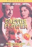 Cactus Flower