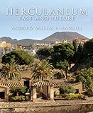 Herculaneum : past and future