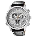 Citizen Promaster Piloten Funkuhr AS4020-44H