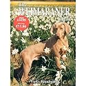 Weimaraner Today - Book Of The Breed