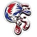 Grateful Dead - Melting Steal Your Face - Car Magnet