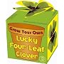 Grow Your Own Four Leaf Clover