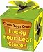 Grow Your Own Four Leaf Clover
