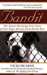 Bandit: The Heart-Warming True Story of One Dog's Rescue from Death Row