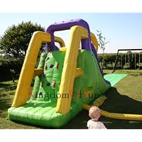 Duplay Inflatable Twin Water Slide Bouncy Castle 