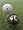 Tin Cup Bolt Golf Ball Custom Marker Alignment Tool