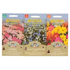 Mr Fothergill's Seeds Wildlife Attracting Garden Flowers Collection