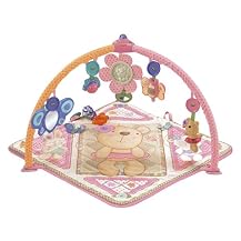 Fisher Price Bear Gym