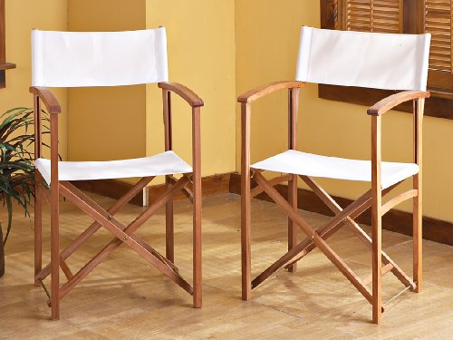 2 Director's Chairs