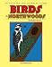 Birds of the Northwoods Activity Coloring Book and Learning Guide