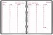 Brownline 2013 Weekly Planner, Twin-Wire, Black, 11 x 8.5-Inches (CB950.BLK)