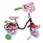 Strawberry Shortcake 10-Inch Bike