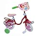 Strawberry Shortcake 10-Inch Bike