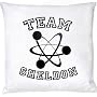 Stylotex Dekokissen Team Sheldon