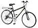 Currie Technologies EZ-ECO-GR