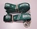 Boston Celtics Pet Set Dog Leash Collar Id Small