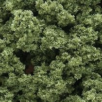 Clump Foliage, Light Green