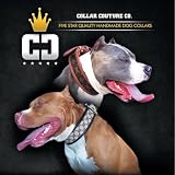 Collar Couture Gucci and Louis Vuitton Print Dog Collars