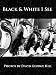 Black & White I See