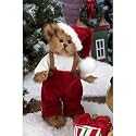 Beary Jolly Teddy Bear