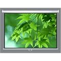 HDTV Rollo Leinwand f�r Beamer Heimkino 244 x 182 cm 16:9 4:3