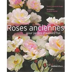 Roses anciennes pour jardins d'aujourd'hui