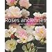 Roses anciennes pour jardins d'aujourd'hui