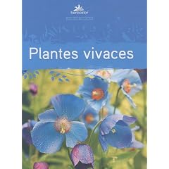 Plantes vivaces