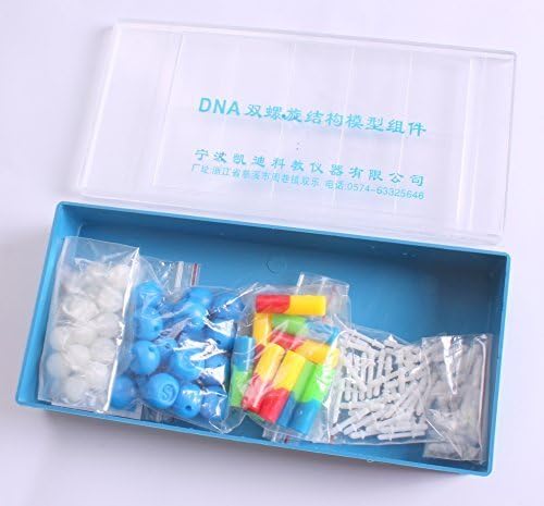 DNA gene model assembly parts (two sets) biomedical learning materials laboratory exhibition structure also described in such as the L985 by Namiki Trading