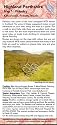 Biking (MTB) and Walking Routes Around Pitlochry: No. 1: Highland Perthshire Map and Guide (Highland Perthshire Maps and Guides)