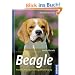 Beagle: Auswahl, Haltung, Erziehung, Besch�ftigung