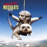 Maverick Meerkats 2012 Calendar