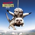 Maverick Meerkats 2012 Calendar