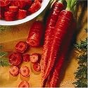 Carrot Kyoto Red Seeds 2000 Seeds