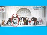 2009 McDonalds Happy Meal Toy Hotel For Dogs #6 Romeo - Collectible Plush Dog