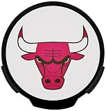 NBA Chicago Bulls Power Decal