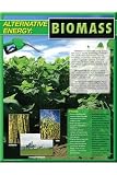 ALTERNATIVE ENERGY BIOMASS CHARTLET