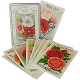 Garden Variety Flowers Postcards ~ Cavallini Carte Postale, 18 postcards (9 designs)