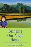 Bringing Our Angel Home