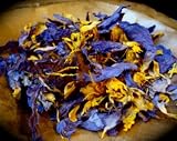 Sacred Egyptian Lotus Flowers - 1oz.
