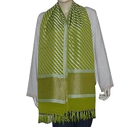 Neck Scarf Chiffon Silk Womens Accessories 22 x 72 inches (srfch024)