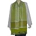 Neck Scarf Chiffon Silk Womens Accessories 22 x 72 inches (srfch024)