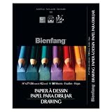 Bienfang Giant 14-Inch by 17-Inch Drawing Paper Pad, 50 Sheets