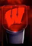 Wisconsin Badgers Night Light