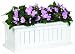 DMC Products Nantucket 36-Inch Solid Wood Window Box, Natural