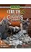 Primos The Truth 6 Calling All Coyotes with Randy Anderson (DVD)