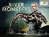 play video on Amazon Prime
